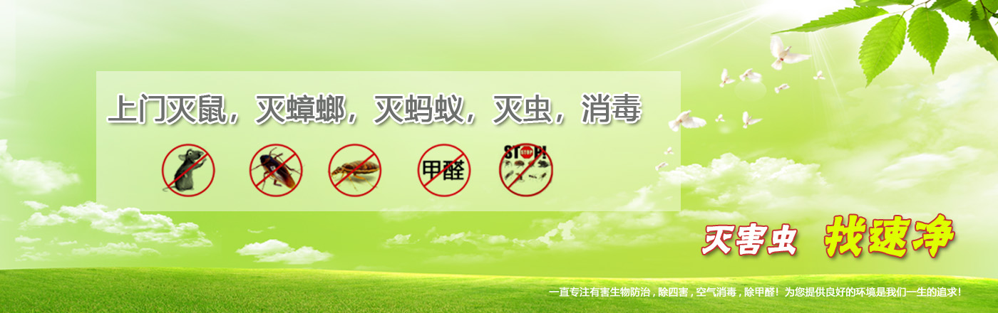 速凈滅蟲(chóng)公司教你室內(nèi)如何防蚊